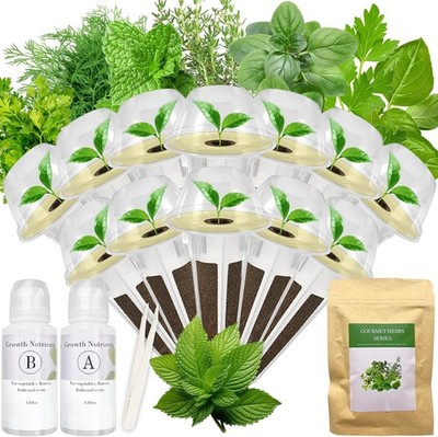 Gourmet Herbs Seed Pod Kit for AeroGarden, iDoo, Ahopegarden, (12-Pod)