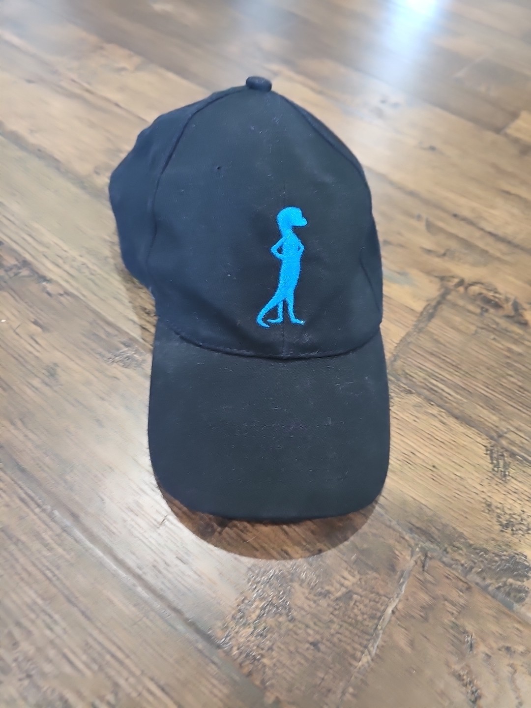 Geico Gecko Employee Uniform Baseball Cap Black Blue Embroidered Logo Adjustable