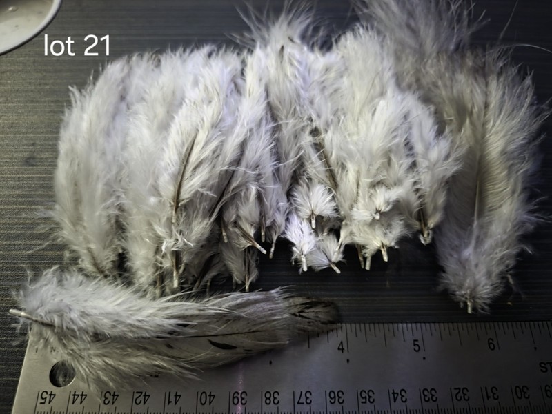 Lot Of Fluffy Blue Slate Turkey Feathers