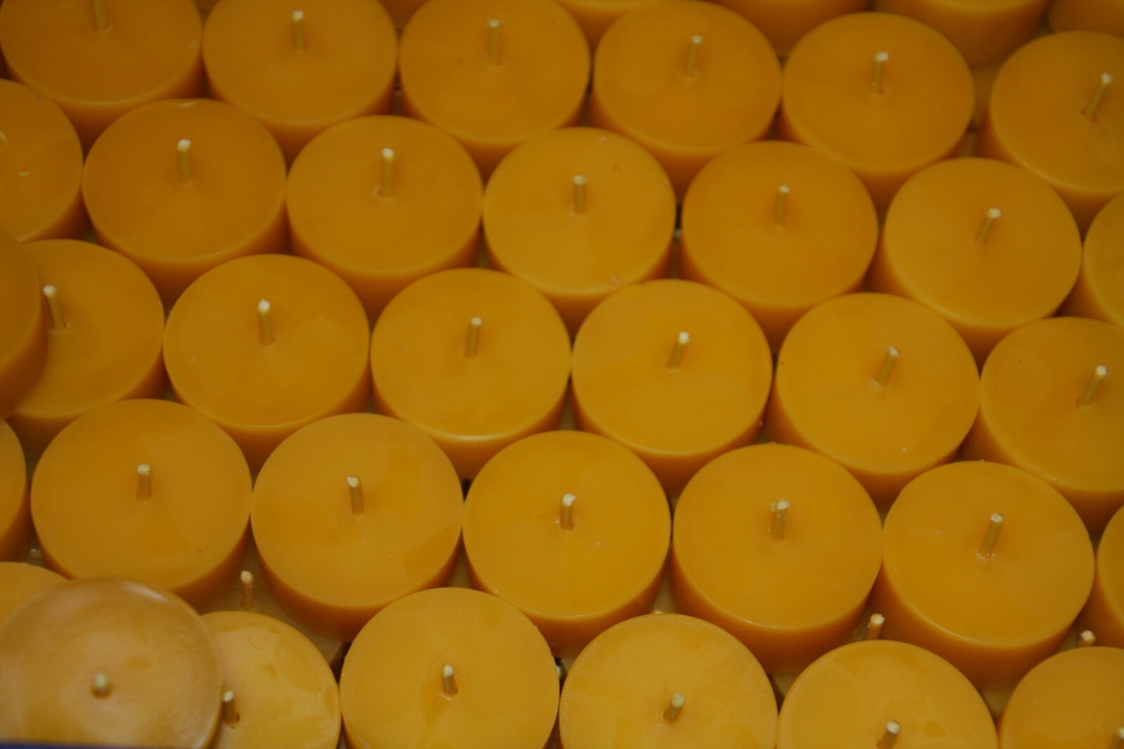 50 Bienenwachs Teelichter 100% BW (ohne Aluhülle) + 2 Teelichtschalen