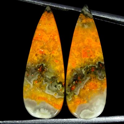 22.90Cts Natural Bumble Bee Jasper Pair Pear Cabochon Loose Gemstone