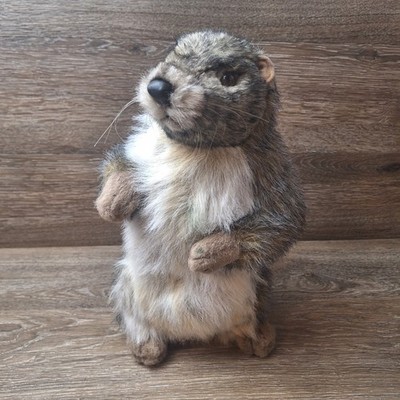 Hansa - Thomas Boland 12'' Marmot Plush Excellent Pre-owned Condition