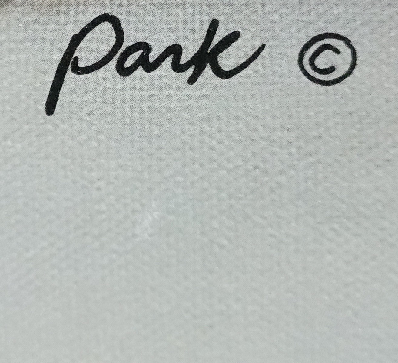 PARK "RHAPSODY OF DREAMS" LITHOGRAPH ART PRINT ON CANVAS