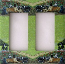 Great Dane Art Printed on a Double Rocker light switch plate, made in USA