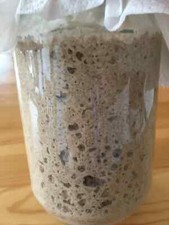 Fresh Mature Sourdough Starter for all Sourdough Breads & Pizzas-relisted