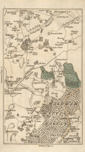 WALTHAM ABBEY Loughton Lower Nazeing Sewardstone High Beach Wood Grn 1786 map