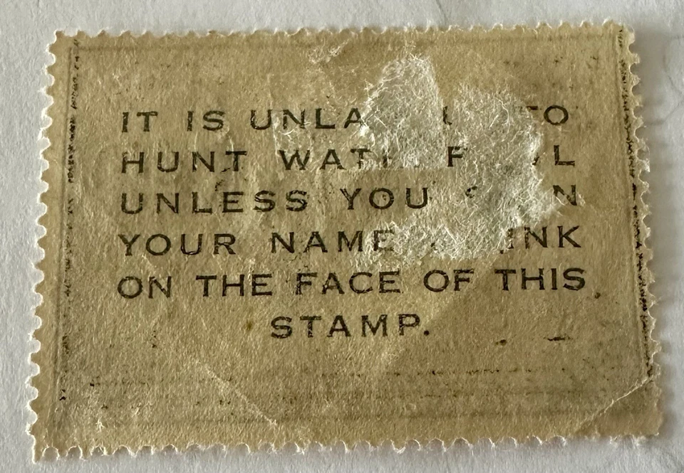 1951 Federal duck stamp two dollar migratory bird hunting stamp signed ￼ - Image 3 of 3