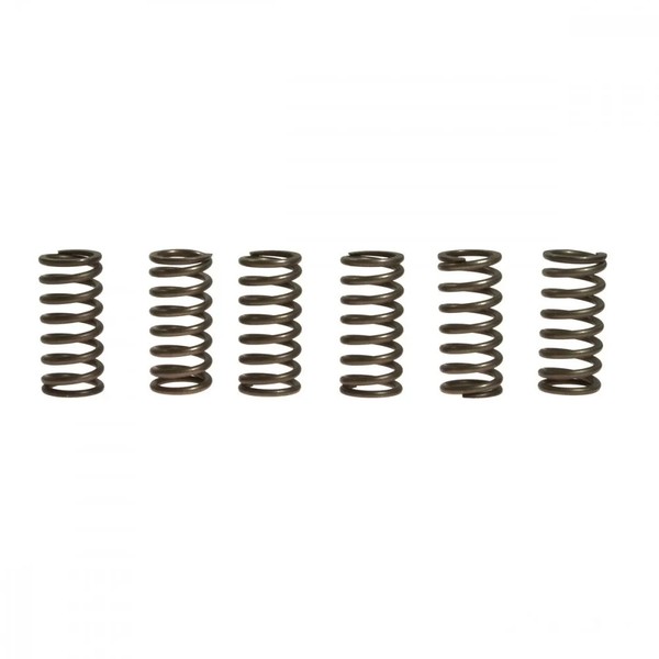 Kupplungsfeder VerstäRkt (6Stk) Ebc CSK091 FüR Suzuki Rm 250 Bj. 1997-2005-image