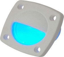 401325-1 Delrin LED Utility Light - White with Blue Light