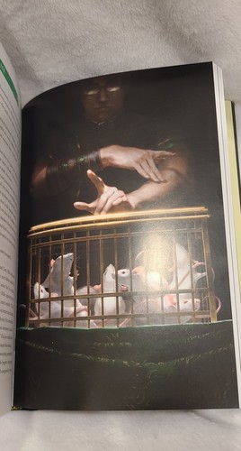 Jade City | Fonda Lee | SIGNED, NUMBERED | +RIGHTS | Subterranean Press - Picture 8 of 11