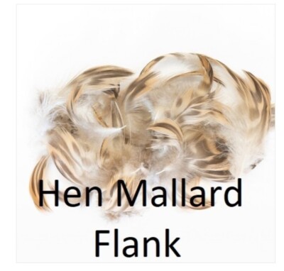 Mallard Hen Flank Veniard beige braune Feder Hen Mallard Flank
