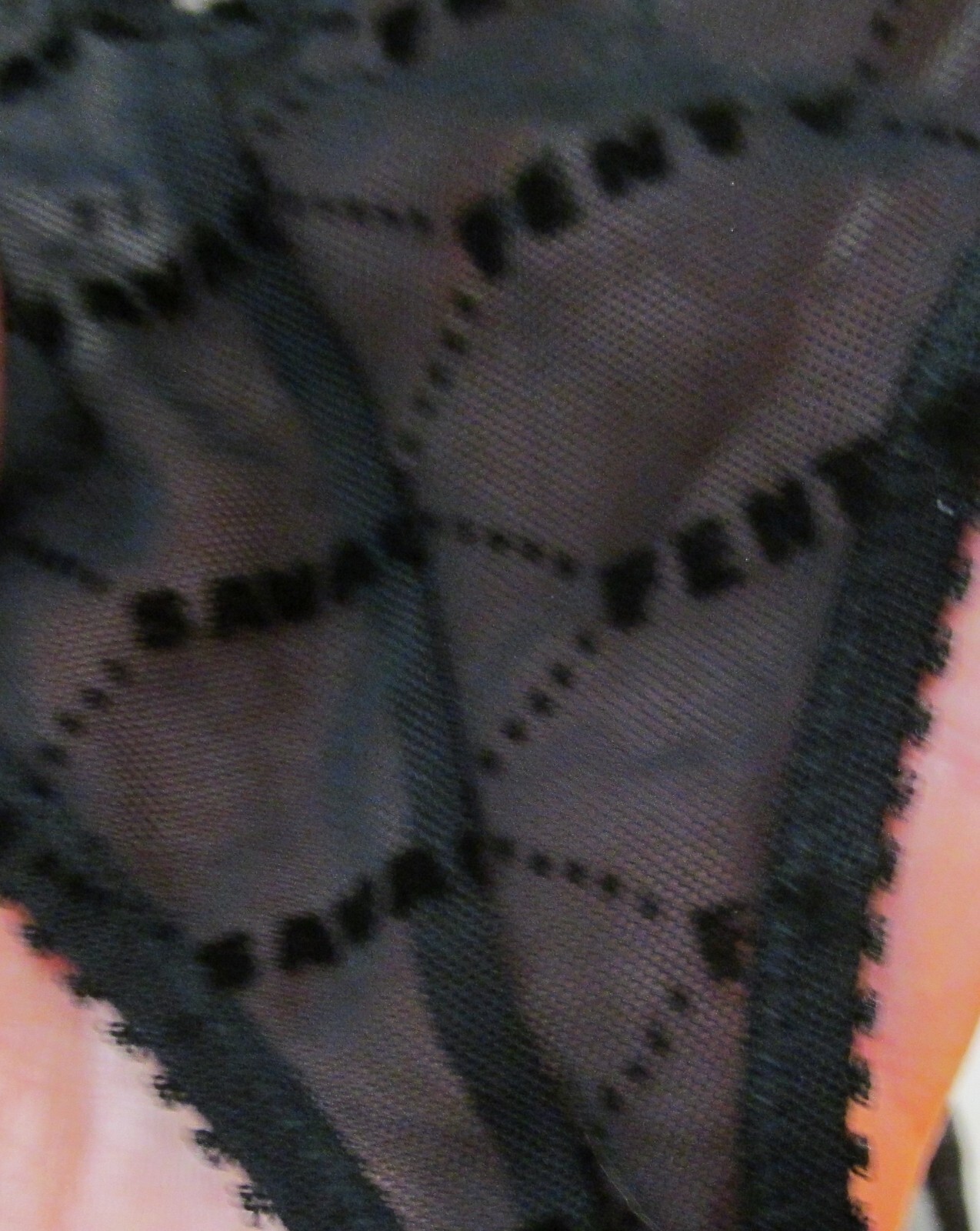 Bild 11 von 12