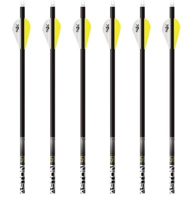 Size 300, Easton 5.0 5mm Carbon Arrows with HIT Inserts, 2'' Blazer Vanes (6-Pack