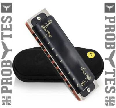 MUSICAL INSTRUMENT Diatonic Harmonica Key of C/D Tuned Mouth Organ 10Hole Brass Silver Professional