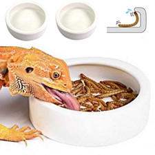Mealworm Worm Anti-escape Reptile Feeding Water Dish Plate Bowl Ceramic 10cm 4"