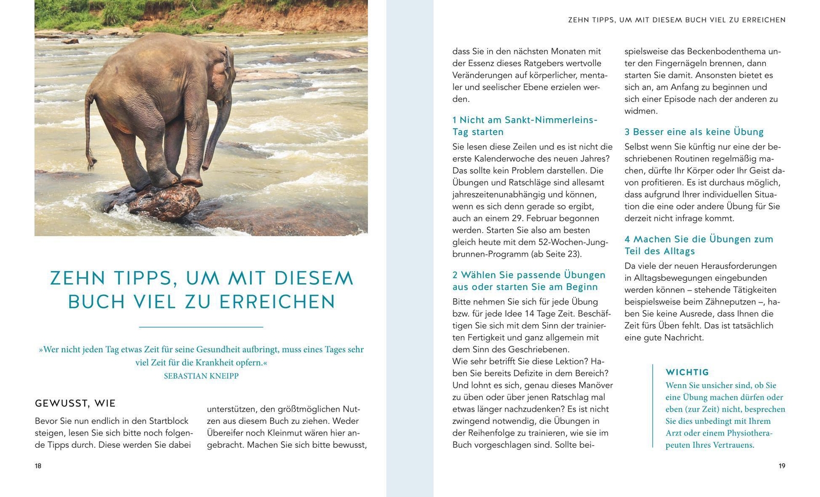 Thumbnail - Leben Ohne Fallen Dirk Bringmann