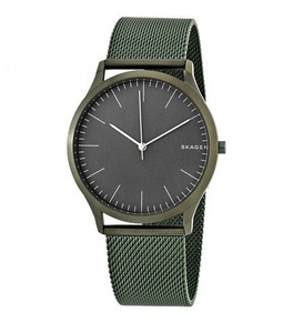 ebay skagen