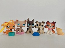 5pcs/lot Littlest Pet Shop LPS Cat Dog 1643 228 817 2210 W/6pcs Accessories