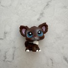 littlest pet shop chihuahua Blue Eyes — photo 1