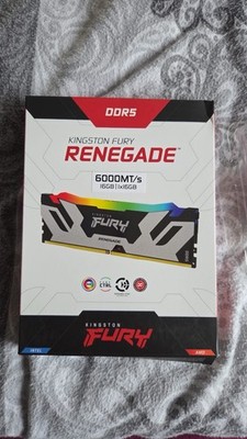 Kingston Fury Renegade RGB 16 GB DDR5 Arbeitsspeicher 6000 MT/s