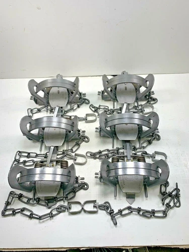 6 Duke #2 Coil Spring Traps (Raccoon Coyote Bobcat Fox  Otter Trapping Supplies)
