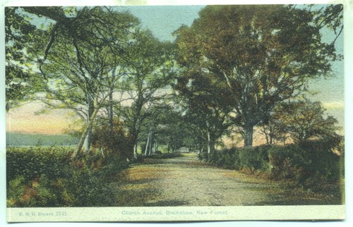Church Avenue Bramshaw New Forest Hampshire ungelaufene Postkarte um 1900 - Bild 1 von 2