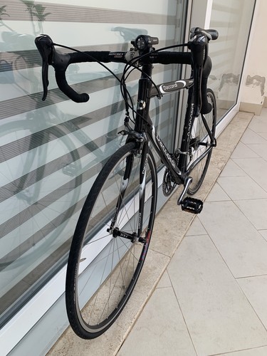 Bicicletta Da Corsa In Fibra Di Carbonio. Artigianale Daccordi. - Foto 4 di 22