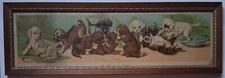 ANTIQUE 1908 A YARD OF PUPPIES, Yard Long, C.L. van Vredenburgh Chromolithograph