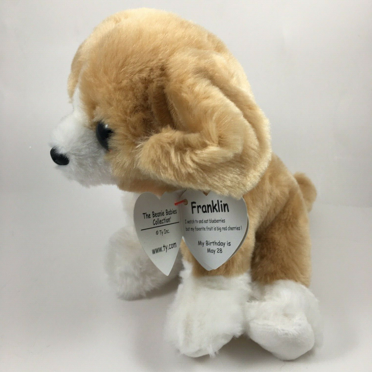 franklin beanie boo