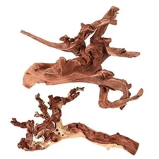  Natural Large Coral Driftwood for Mopani Driftwood 9 to 14 Inch (Pack of 2)