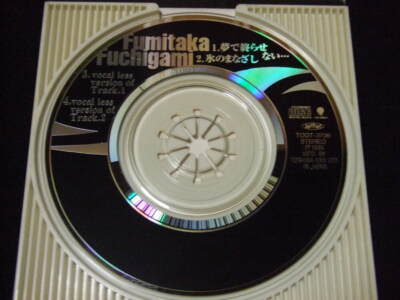 Bio Hazard Theme Song CD resident evil Capcom Fumitaka Fuchigami
