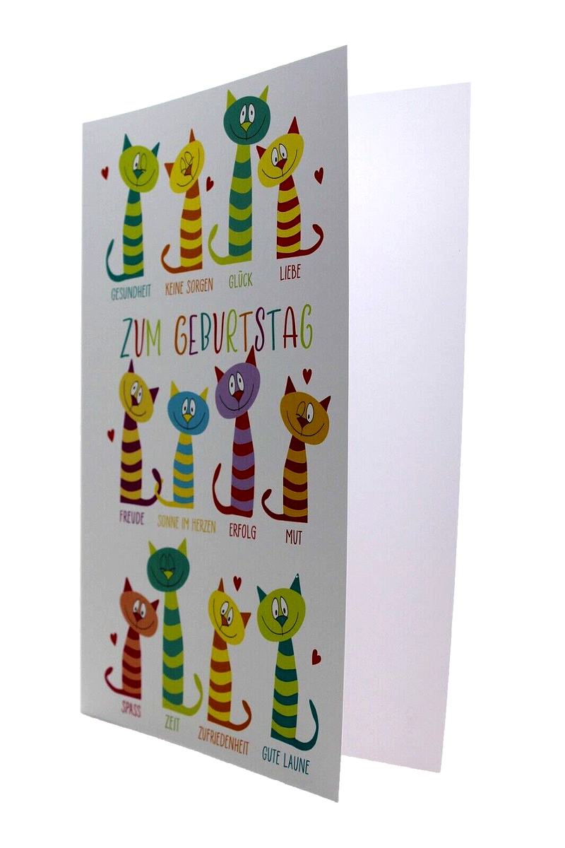 Geburtstagskarte „Heard You Got An Year Older“ – Schwarze Katze Mit Sonnenbrille, DIN A6
