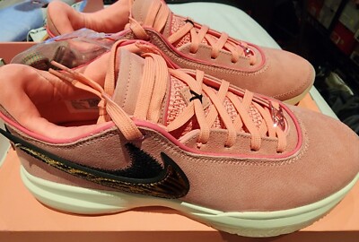 Nike Lebron 20 XX South Beast Pink DQ3828-900 Men's Size 9 | eBay