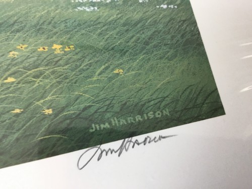 Coca Cola jim harrison print fine art 1996 certificate of authenticity SIGNED - Picture 7 of 10