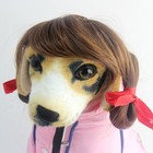Foto 11 di 11