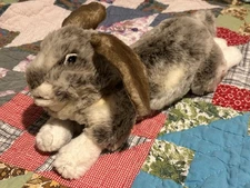 Clean Folkmanis Hand Puppet Holland Lop Bunny Rabbit 19" Realistic Adorable