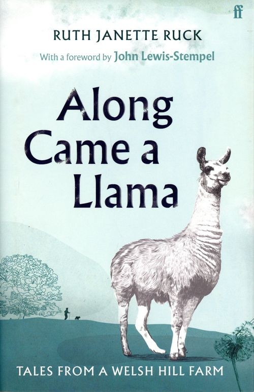 Along Came a Llama