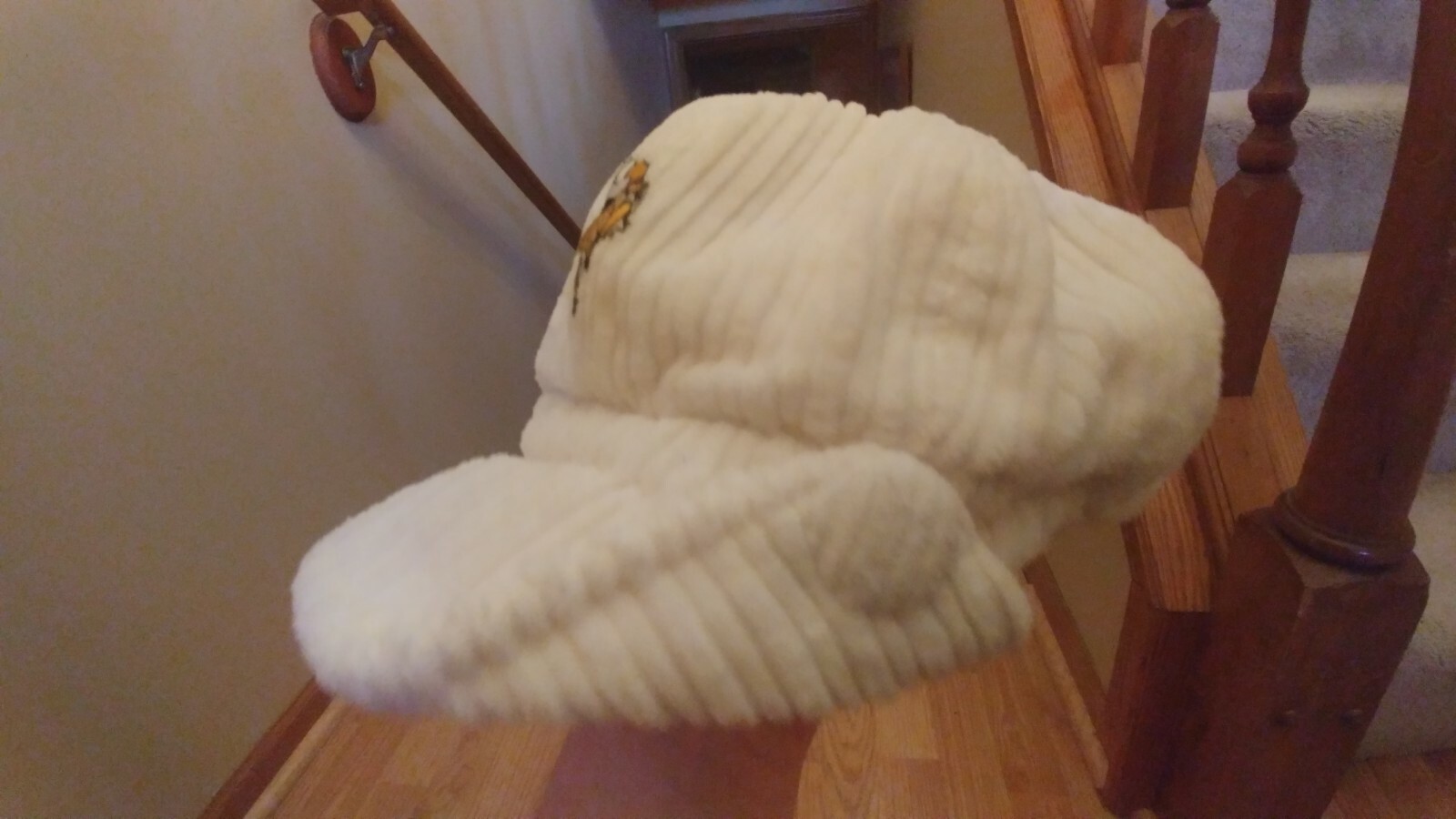 Picture 3 of 12