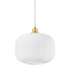 Hampton Bay White Chandeliers & Ceiling Fixtures