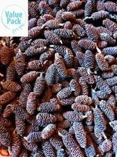 Value Pack Alder Cones Organic Crystal Cherry Shrimp PH Buffer Adjustment