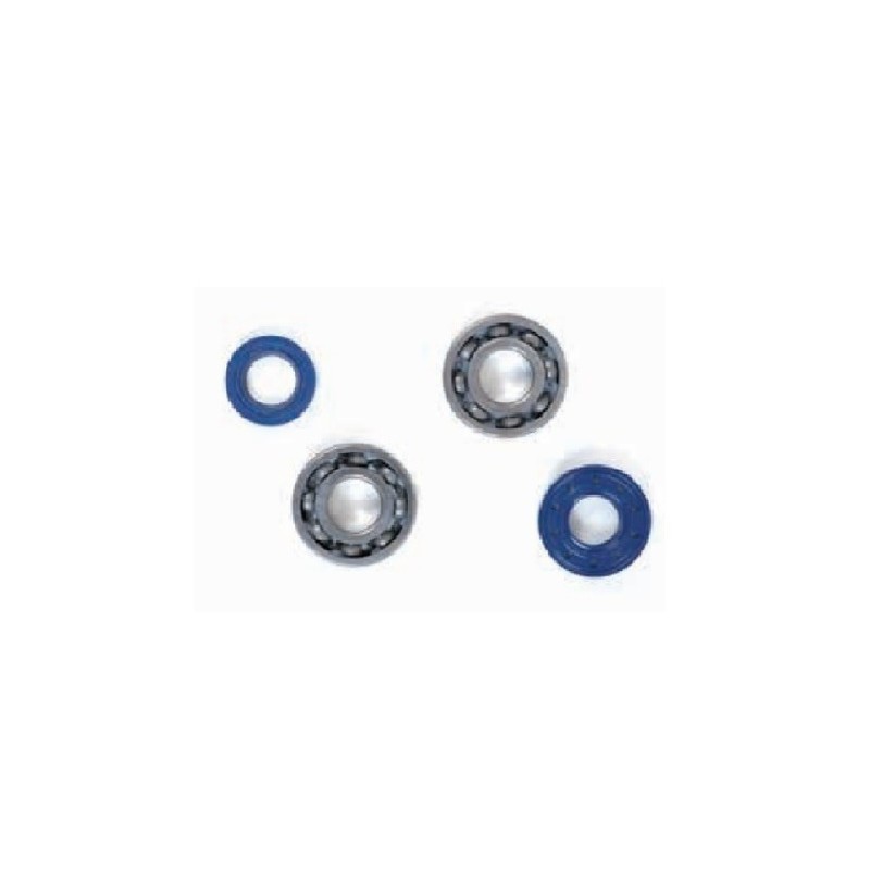 Kit roulements et joints spi vilebrequin Top Performances pour moteur Minarelli AM6