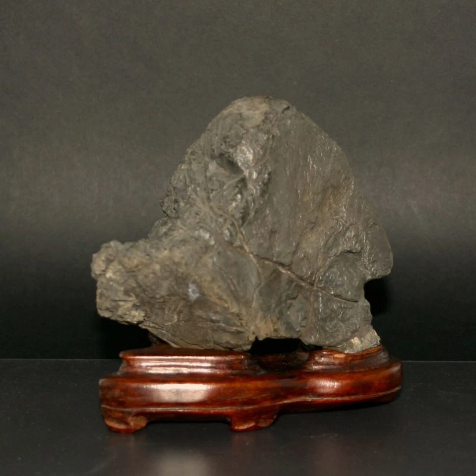 SUISEKI, BONSEKI Furuya Stone con una gran entrada a la cueva, piedra Kaya, ped Karaki Foto 3 de 4