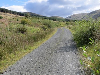 Foto 6x4 Track and Trail in Galloway Dark Sky Park Balloch Burn\/NX339 c2017