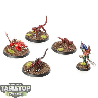 Drukhari - Beastmaster and Warp Beast - bemalt