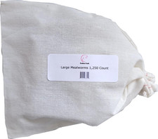 Bulk Live Mealworms - 1,250 Count Large - .75" 