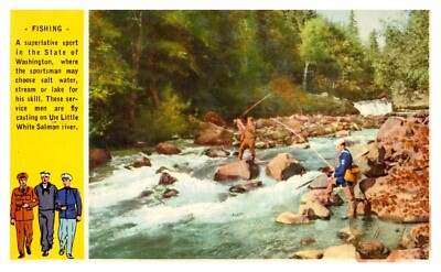 WA Washington Fly Casting Fishing on Little White Salmon River Chrome Postcard
