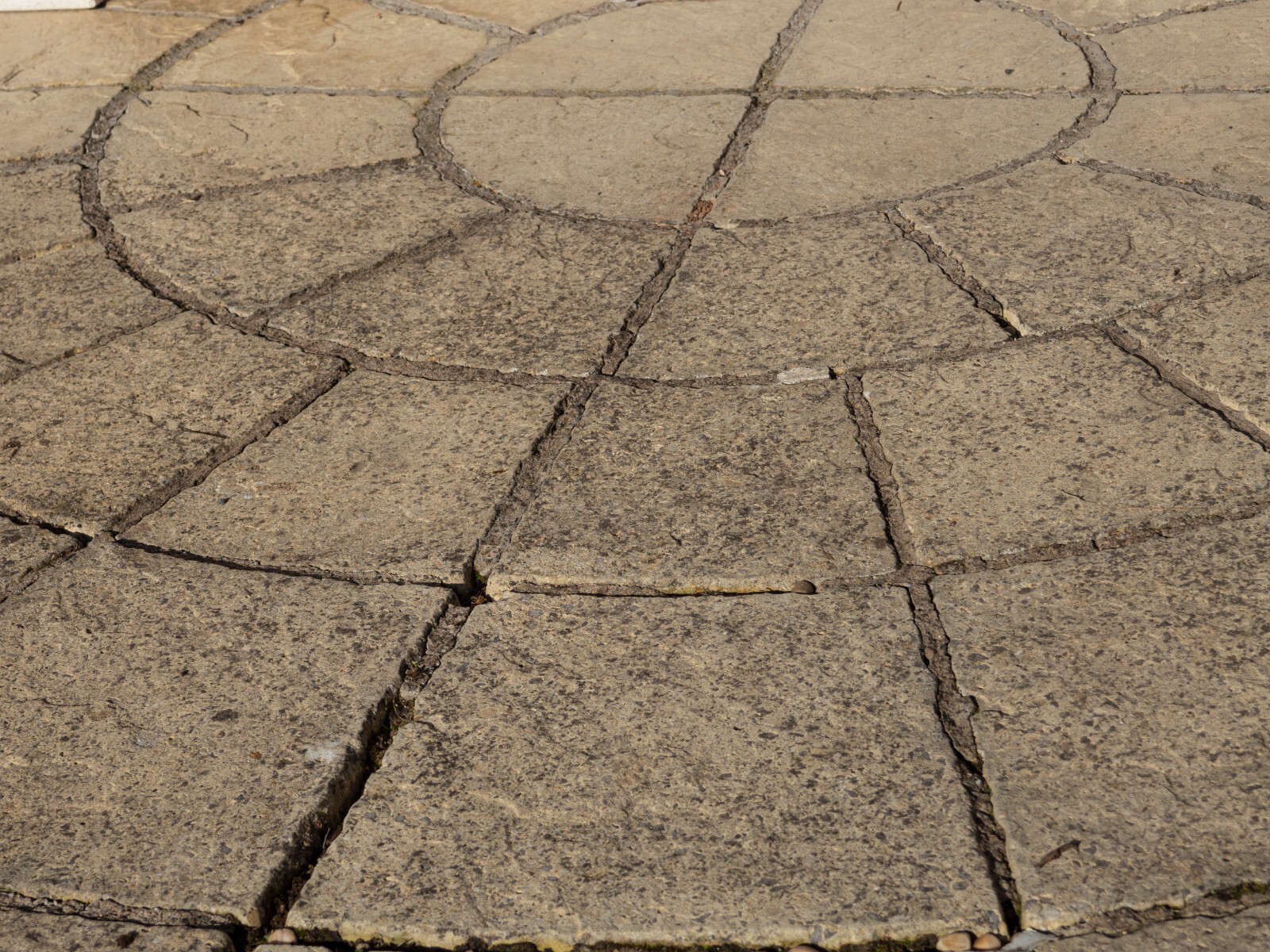 SPOTON Patio Restorer & Black Spot Remover Effective LongLasting