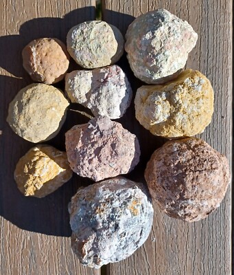 Crystal Geode Gift Set - 10 DIFFERENT Break You Own Geodes World Variety + Bonus