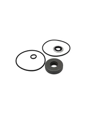 Ace Pumps Repair Kit for 200 Series Motors - RK-BAC-75-HYD-L (41374)