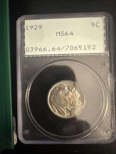 1929 PCGS MS64 “Rattler” Buffalo Nickel 5c - Lustrous Old Holder